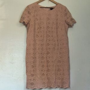 Ann Taylor Elegant Dusty Pink Lace Shift Dress Sz 12 Women